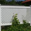bucasia a1 lattice 4750