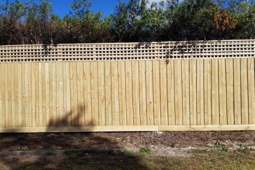 cooktown a1 lattice 4895