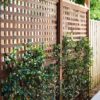 formartin a1 lattice 4404